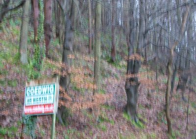 Sale of the Woods